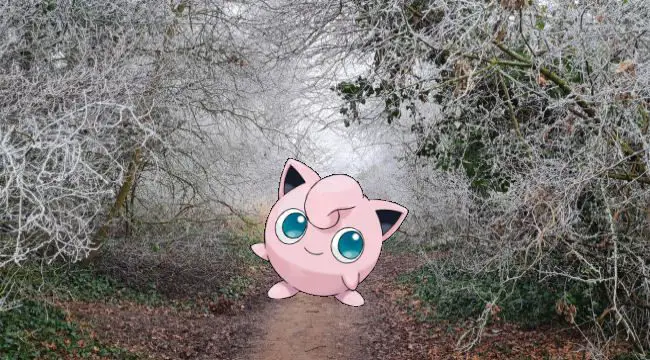 Jigglypuff cute pokémon