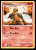 100/127 Torkoal
