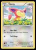 104/146 Skitty