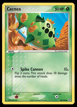 44/106 Cacnea