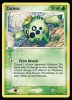 46/108 Cacnea