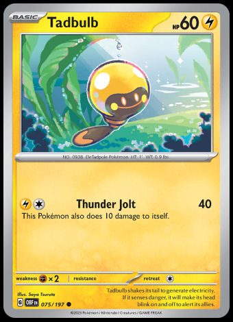 075/197 Tadbulb