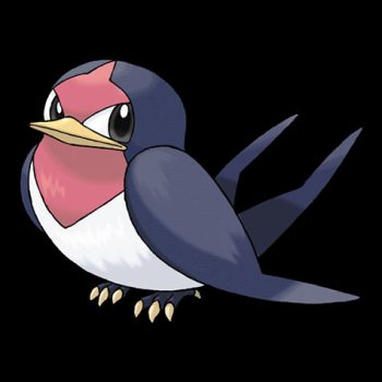 Taillow Pokémon