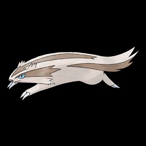 Linoone Pokédex