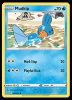 062/264 Mudkip