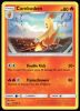 27/168 Combusken