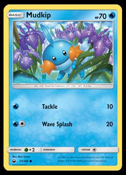 33/168 Mudkip