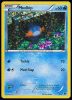 5/12 Mudkip