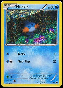 5/12 Mudkip