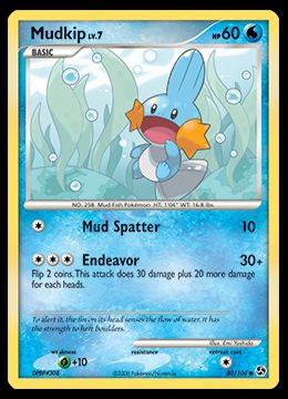 80/106 Mudkip
