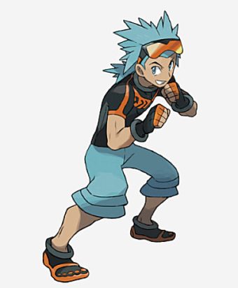 Brawly Pokémon Trainer and Gym Leader
