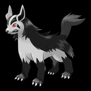 Mightyena Pokémon