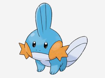 Mudkip Pokémon