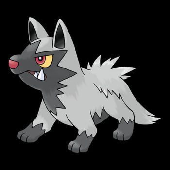 Poochyena Pokémon