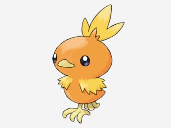 Torchic Pokémon