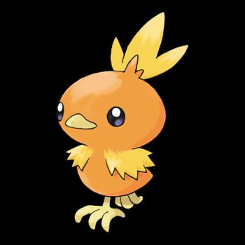 Torchic Pokémon