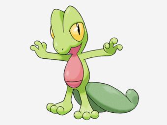Treecko Pokémon