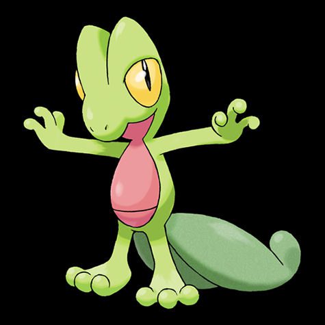 Treecko Pokémon
