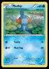 XY38 Mudkip