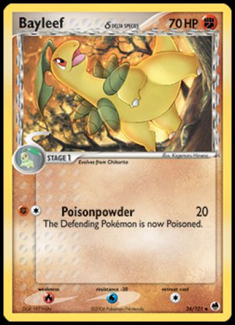 26/101 Bayleef