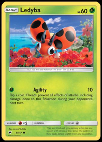 9/147 Ledyba