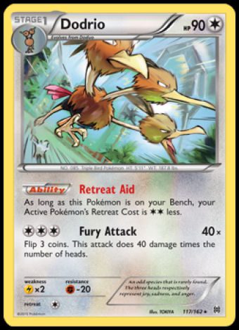 117/162 Dodrio