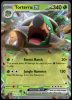 012/162 Torterra ex