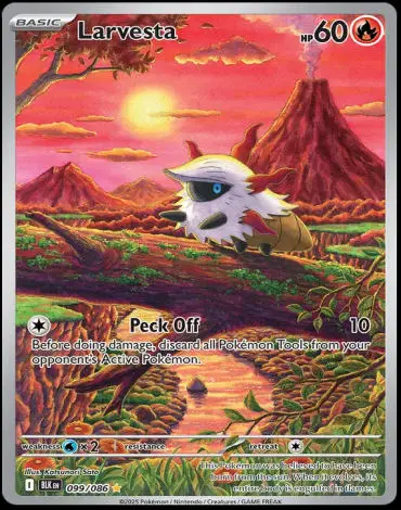 099/086 Larvesta