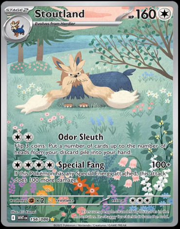 156/086 Stoutland
