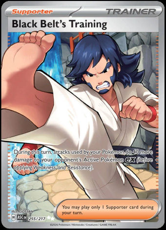 255/217 Black Belt's Training