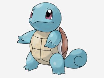 Squirtle Pokémon