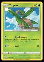 005/072 Tropius