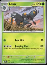 010/094 Lokix