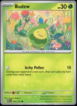 016/217 Budew