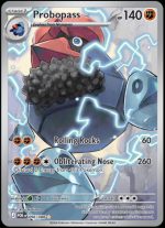 096/088 Probopass