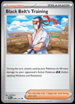 099/131 Black Belt's Training