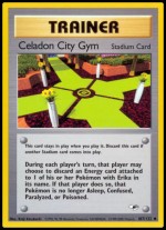 107/132 Celadon City Gym