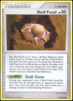 117/123 Skull Fossil