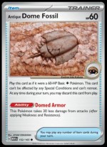 152/165 Antique Dome Fossil