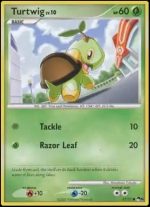 17/17 Turtwig