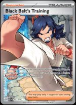 255/217 Black Belt's Training