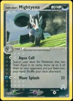 30/95 Team Aqua's Mightyena