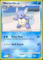 75/132 Wartortle