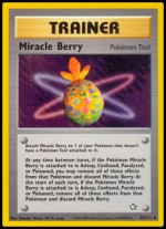 94/111 Miracle Berry
