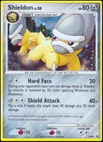 DP08 Shieldon