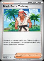 SVP219 Black Belt's Training