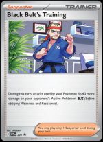 SVP220 Black Belt's Training